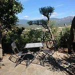 Locations Au Centre-ville De Porto-vecchio, Jardin, Terrasse, Parking Privé
