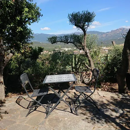 Locations Au Centre-ville De Porto-vecchio, Jardin, Terrasse, Parking Prive
