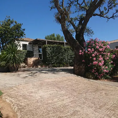Locations Au Centre-ville De Porto-vecchio, Jardin, Terrasse, Parking Privé