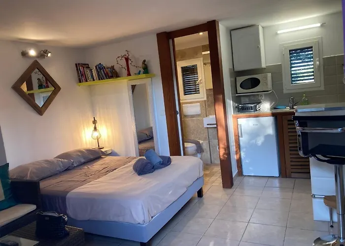 Locations Au Centre-ville De Porto-vecchio, Jardin, Terrasse, Parking Prive 別荘 *