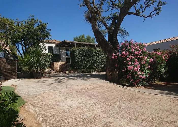 Locations Au Centre-ville De Porto-vecchio, Jardin, Terrasse, Parking Prive